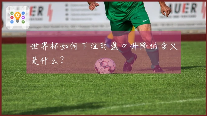 世界杯如何下注时盘口升降的含义是什么？