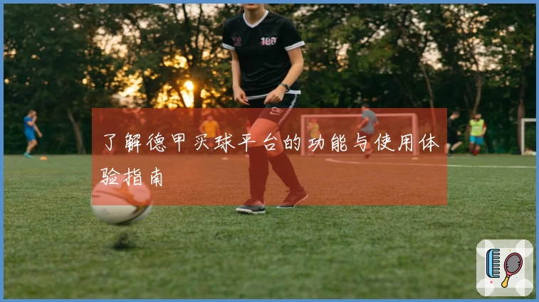 了解德甲买球平台的功能与使用体验指南