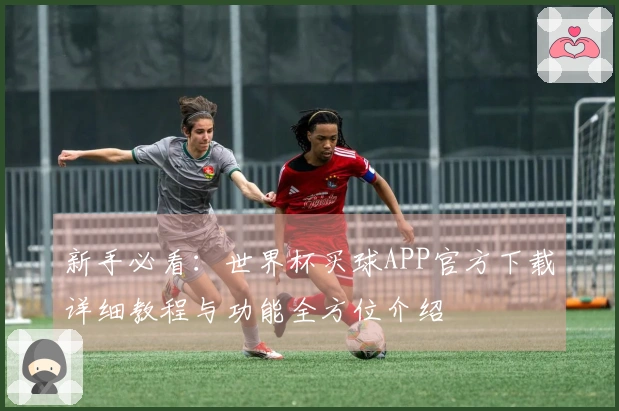 新手必看：世界杯买球APP官方下载详细教程与功能全方位介绍