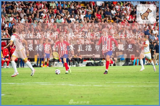 如何在德甲买球正规网站上轻松找到最精彩的比赛直播与服务信息