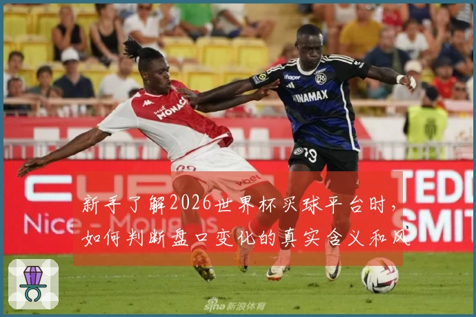新手了解2026世界杯买球平台时，如何判断盘口变化的真实含义和风险