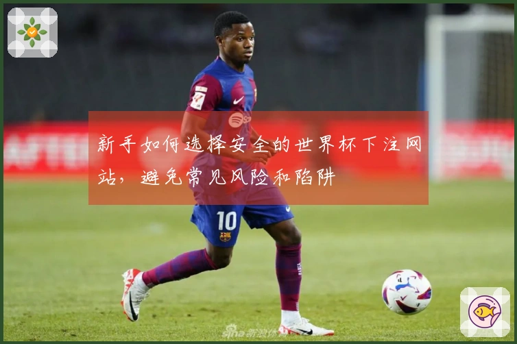 新手如何选择安全的世界杯下注网站，避免常见风险和陷阱