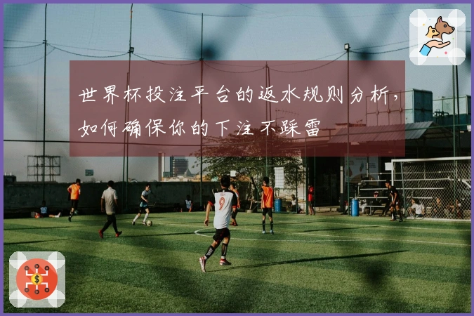 世界杯投注平台的返水规则分析，如何确保你的下注不踩雷