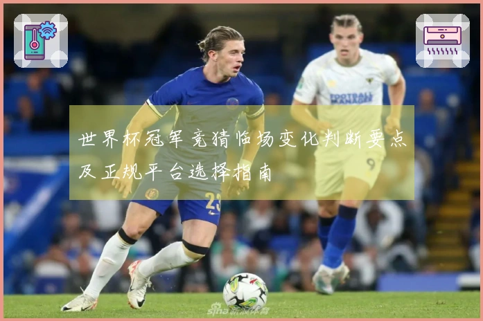 世界杯冠军竞猜临场变化判断要点及正规平台选择指南