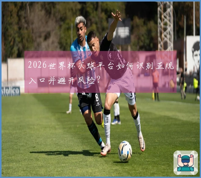 2026世界杯买球平台如何识别正规入口并避开风险？