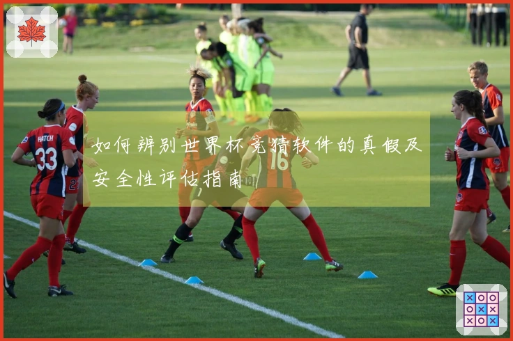 如何辨别世界杯竞猜软件的真假及安全性评估指南