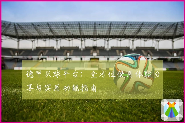 德甲买球平台：全方位使用体验分享与实用功能指南