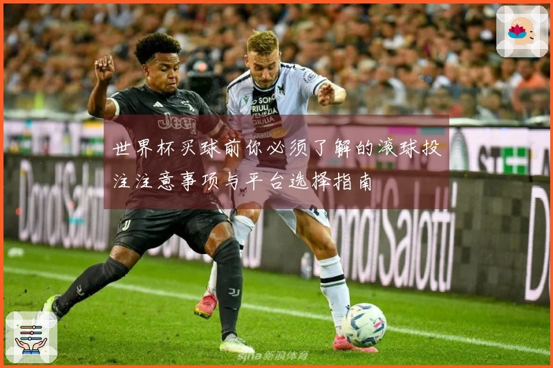世界杯买球前你必须了解的滚球投注注意事项与平台选择指南