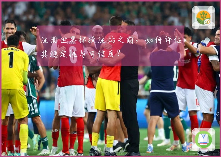 注册世界杯投注站之前，如何评估其稳定性与可信度？