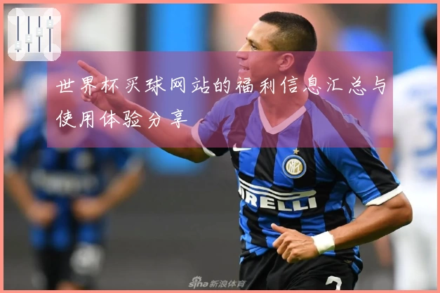 世界杯买球网站的福利信息汇总与使用体验分享