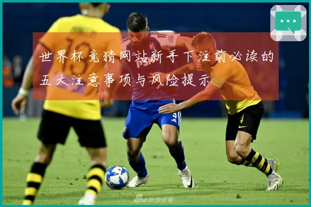 世界杯竞猜网站新手下注前必读的五大注意事项与风险提示
