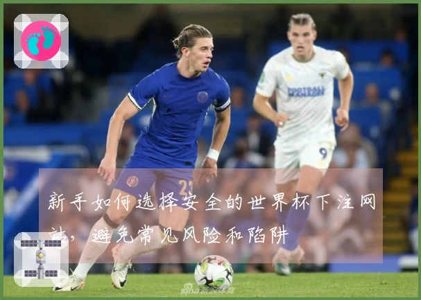 新手如何选择安全的世界杯下注网站，避免常见风险和陷阱