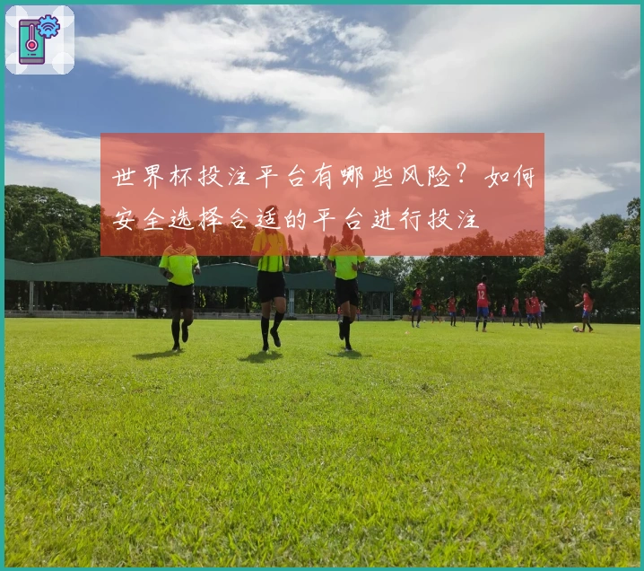 世界杯投注平台有哪些风险？如何安全选择合适的平台进行投注