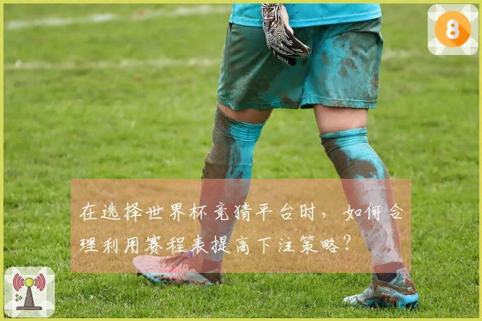 在选择世界杯竞猜平台时，如何合理利用赛程表提高下注策略？