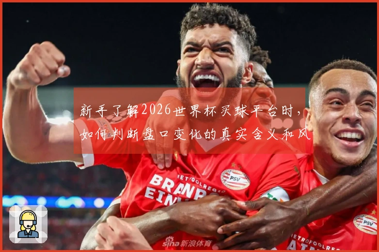 新手了解2026世界杯买球平台时，如何判断盘口变化的真实含义和风险