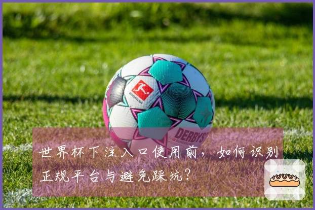 世界杯下注入口使用前，如何识别正规平台与避免踩坑？