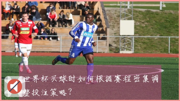世界杯买球时如何根据赛程密集调整投注策略？